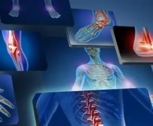 Orthopedic & Traumatology